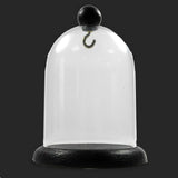 Pocket Watch Display Dome Height 120mm x 90mm (4.72